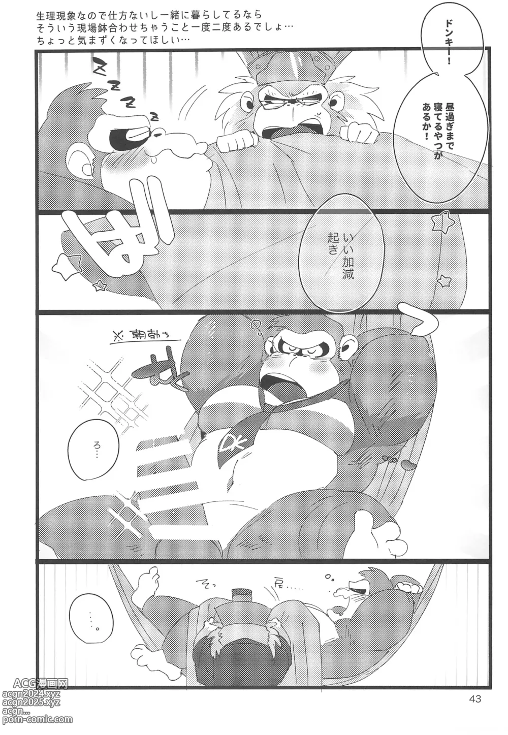 Page 43 of doujinshi DK Hon!