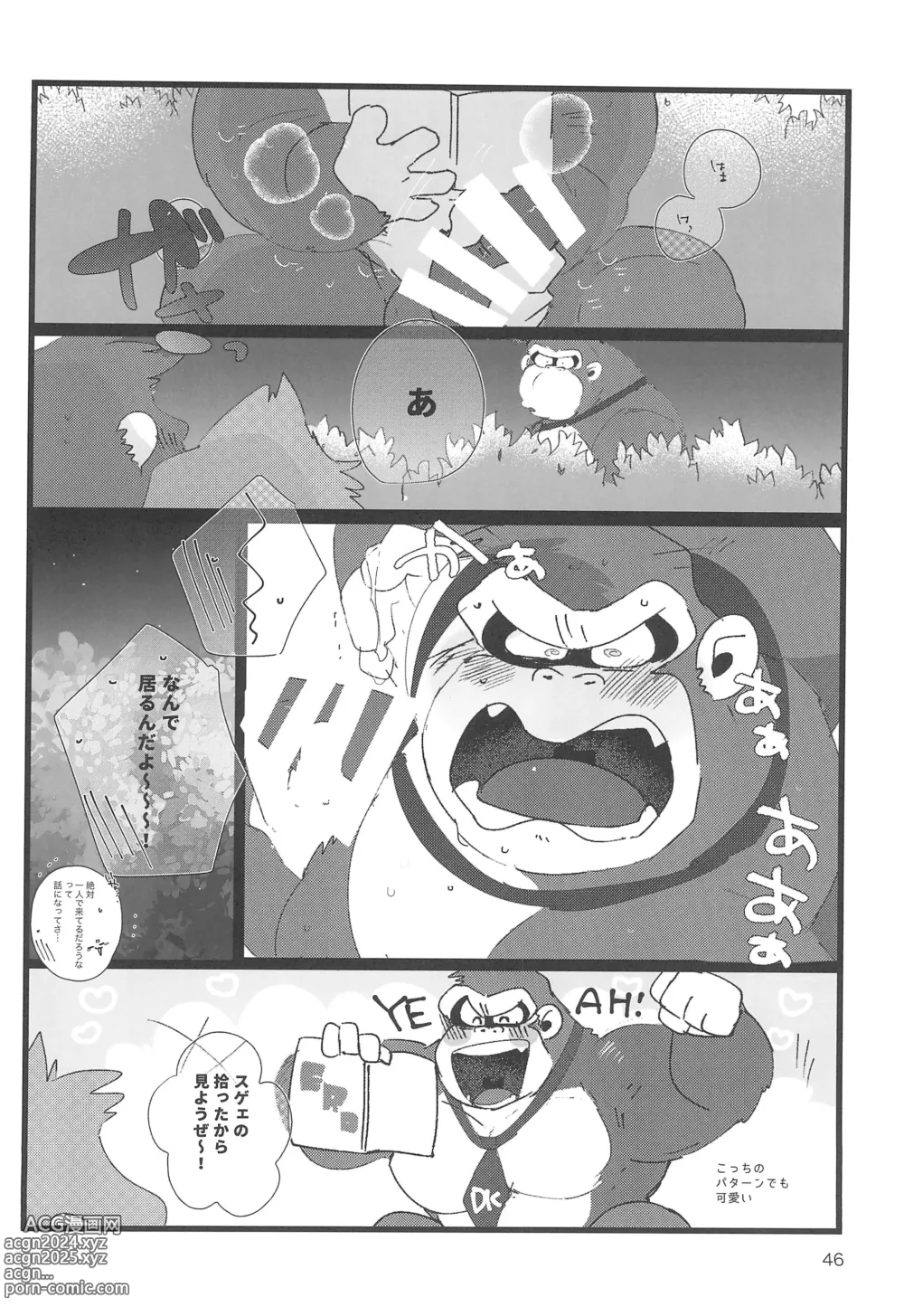 Page 46 of doujinshi DK Hon!