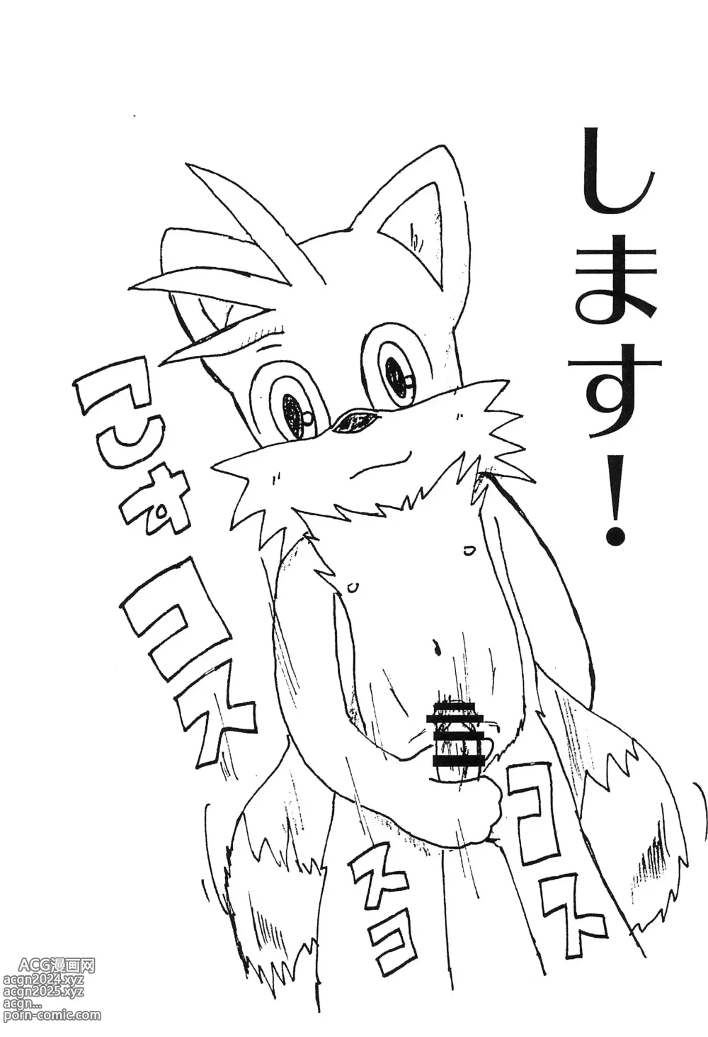 Page 3 of doujinshi Tails-kun mo suru koto suru no?