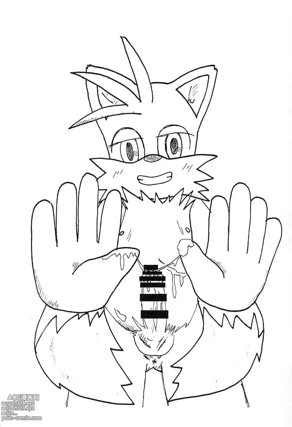 Page 9 of doujinshi Tails-kun mo suru koto suru no?