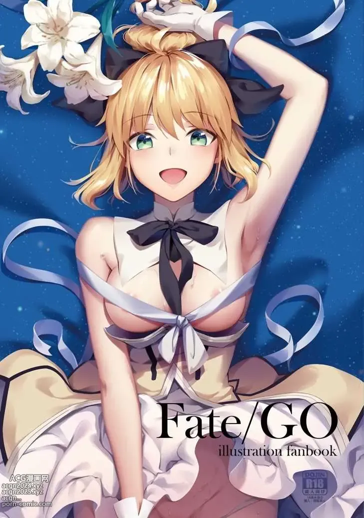 Page 1 of doujinshi Fate/GO illustration fanbook