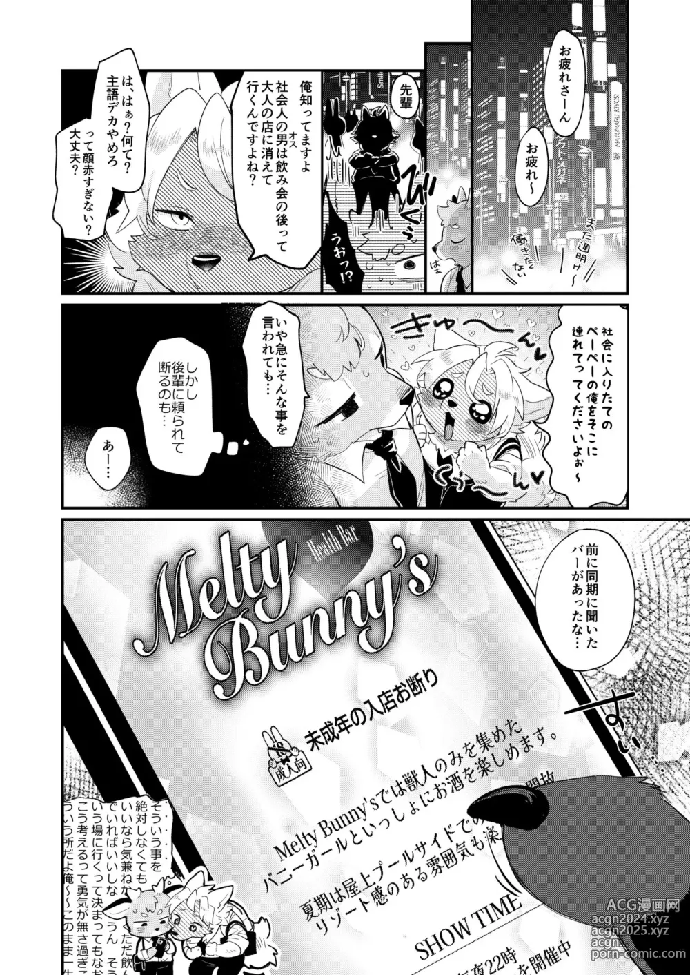 Page 3 of doujinshi Youkoso! Melty Bunnys e side Cutest Girls