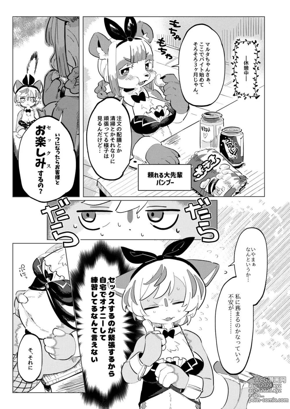 Page 79 of doujinshi Youkoso! Melty Bunnys e side Cutest Girls