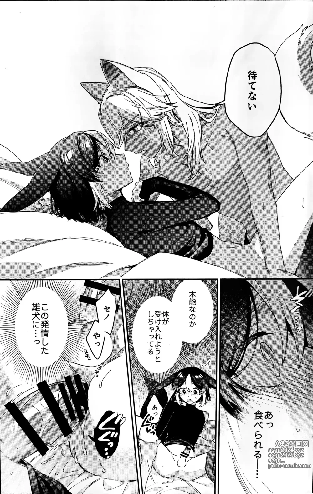 Page 36 of doujinshi ookami ni natta tomodachi no yosuga okashii!!