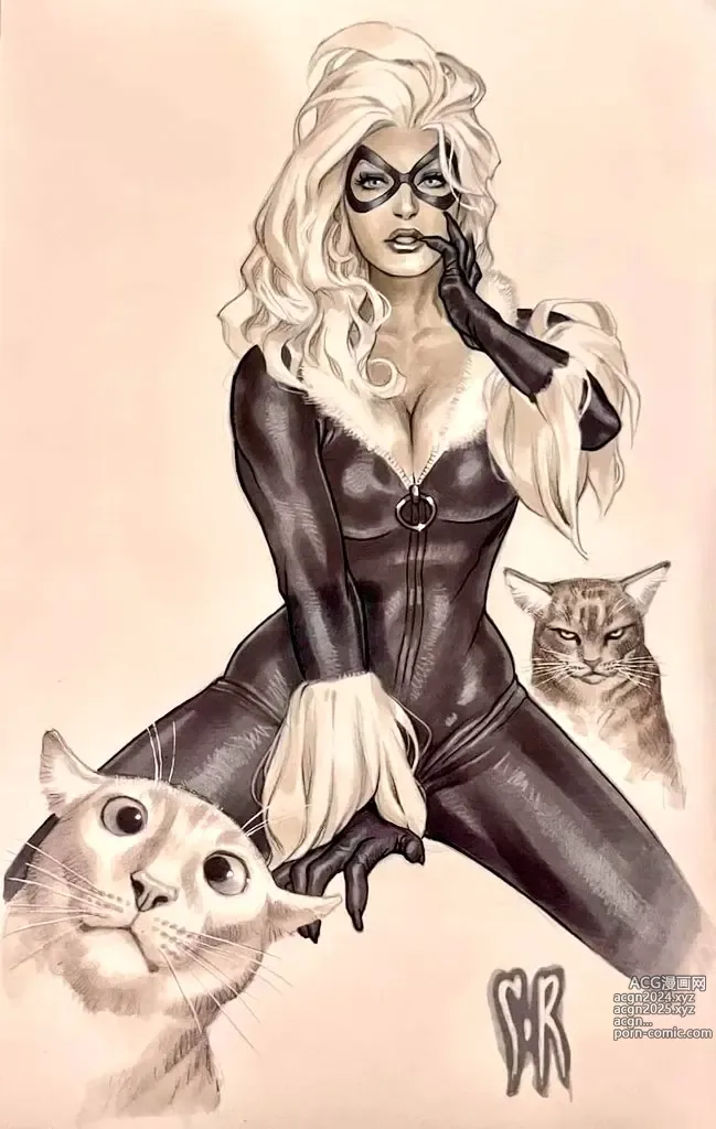 Page 34 of imageset Black Cat