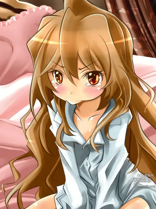 Page 1571 of imageset Aisaka taiga Image Set