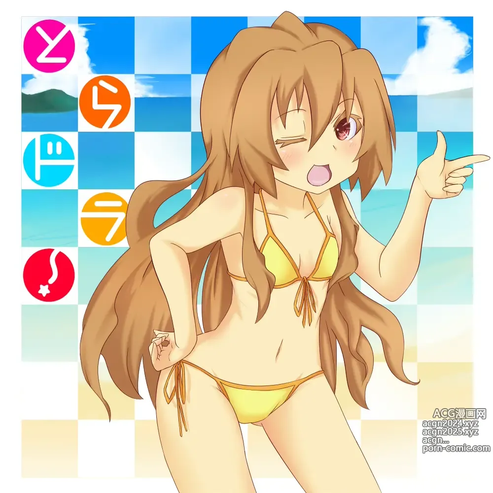 Page 1693 of imageset Aisaka taiga Image Set