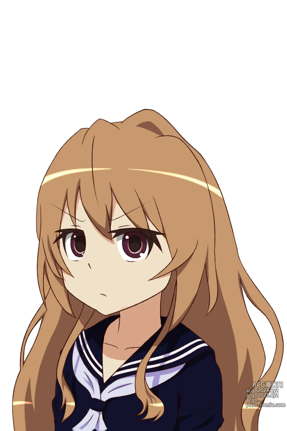 Page 1730 of imageset Aisaka taiga Image Set