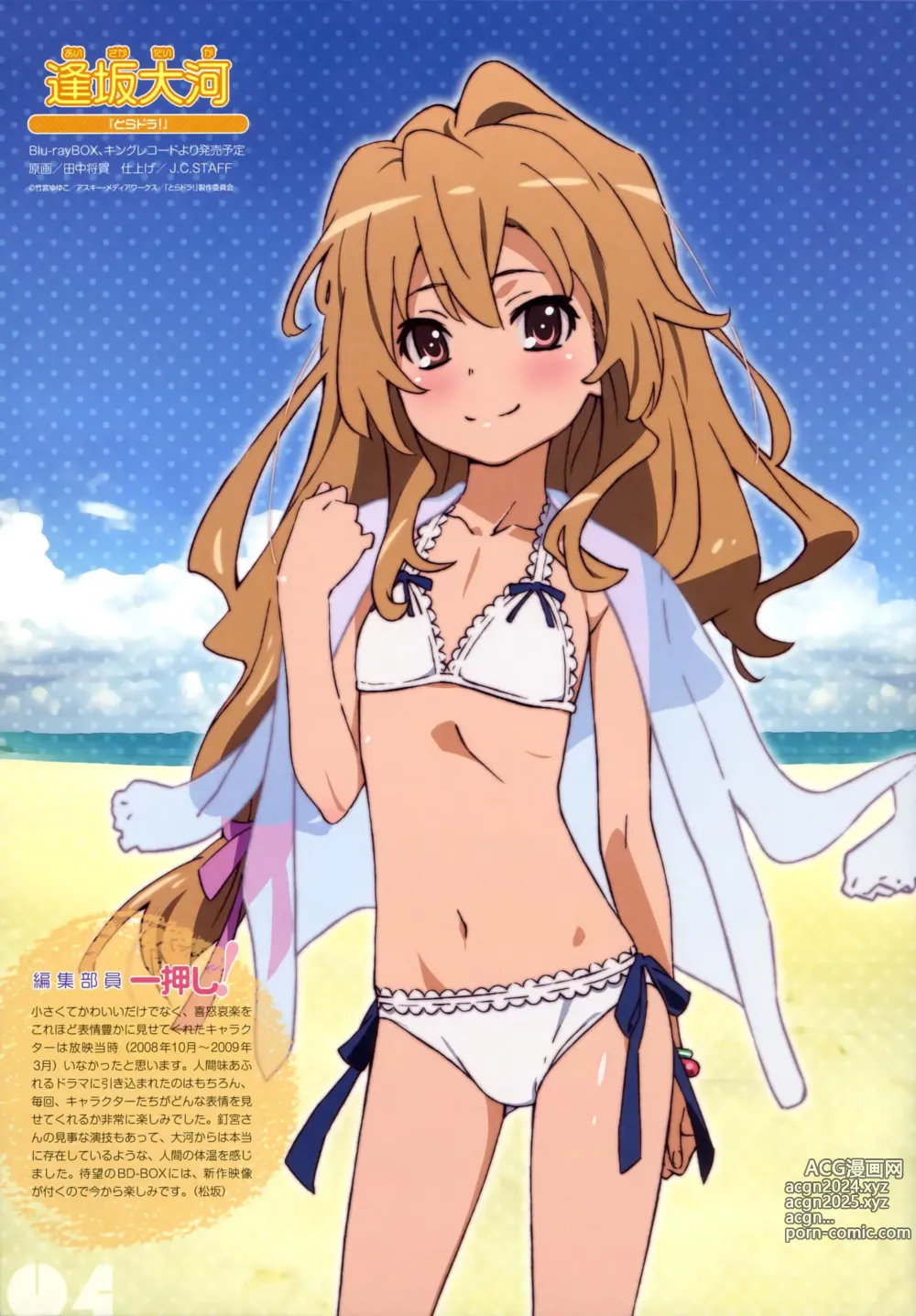 Page 1735 of imageset Aisaka taiga Image Set