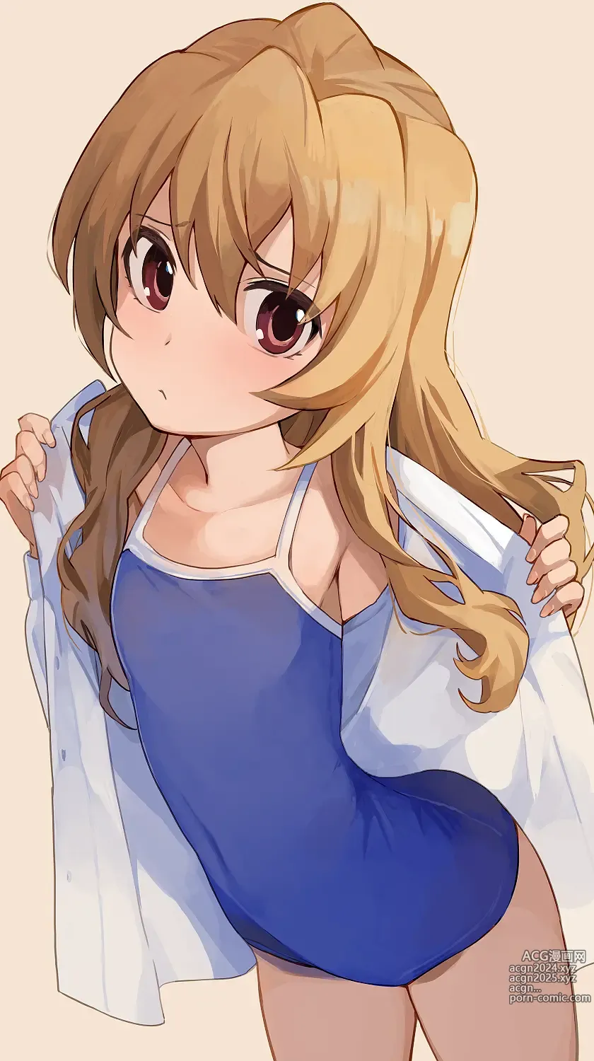 Page 176 of imageset Aisaka taiga Image Set