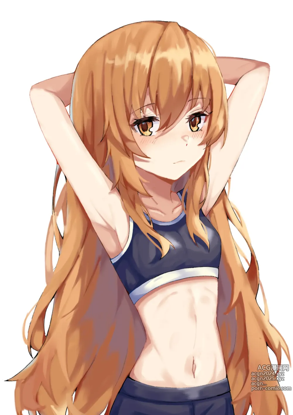 Page 199 of imageset Aisaka taiga Image Set