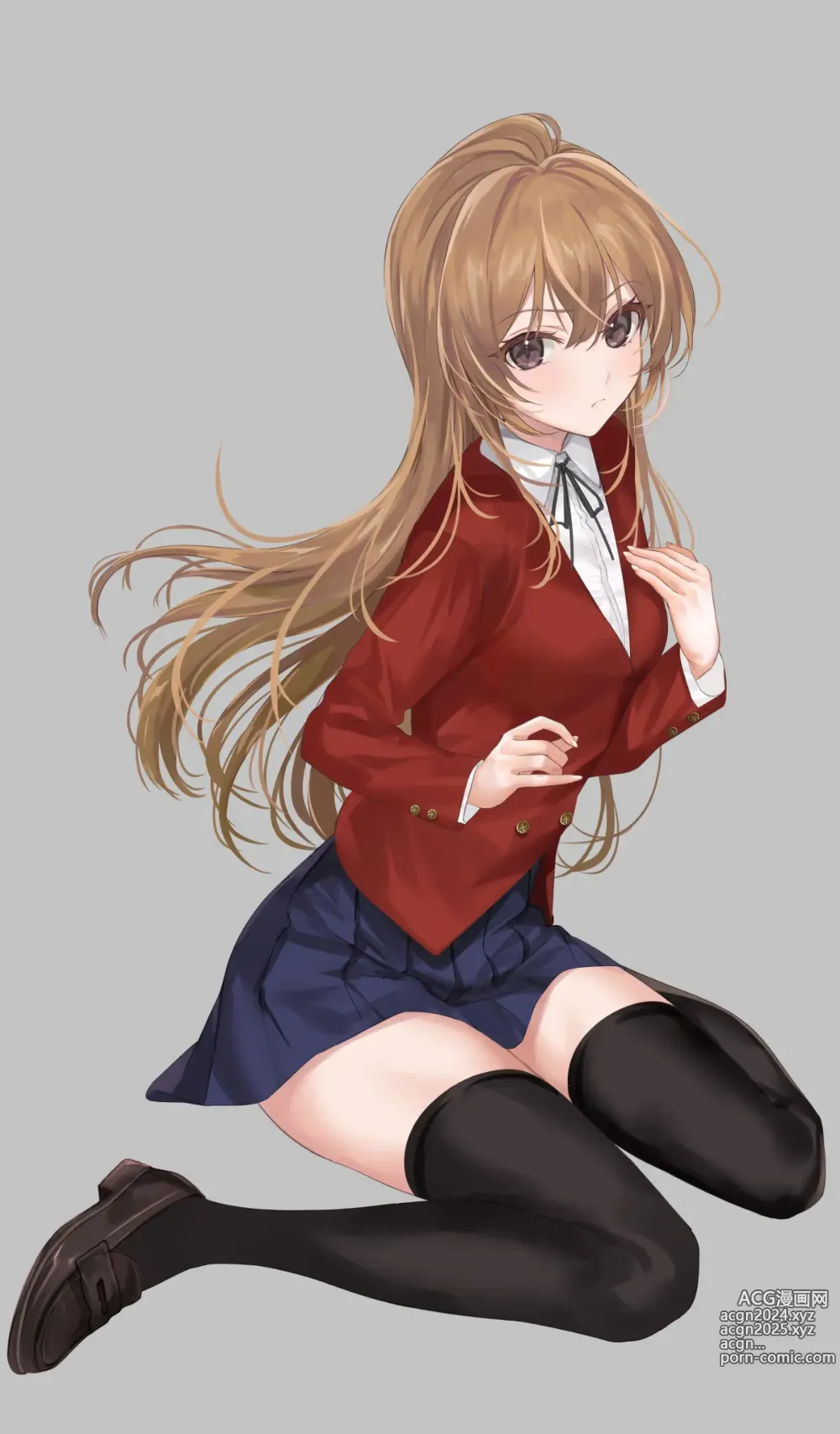 Page 245 of imageset Aisaka taiga Image Set