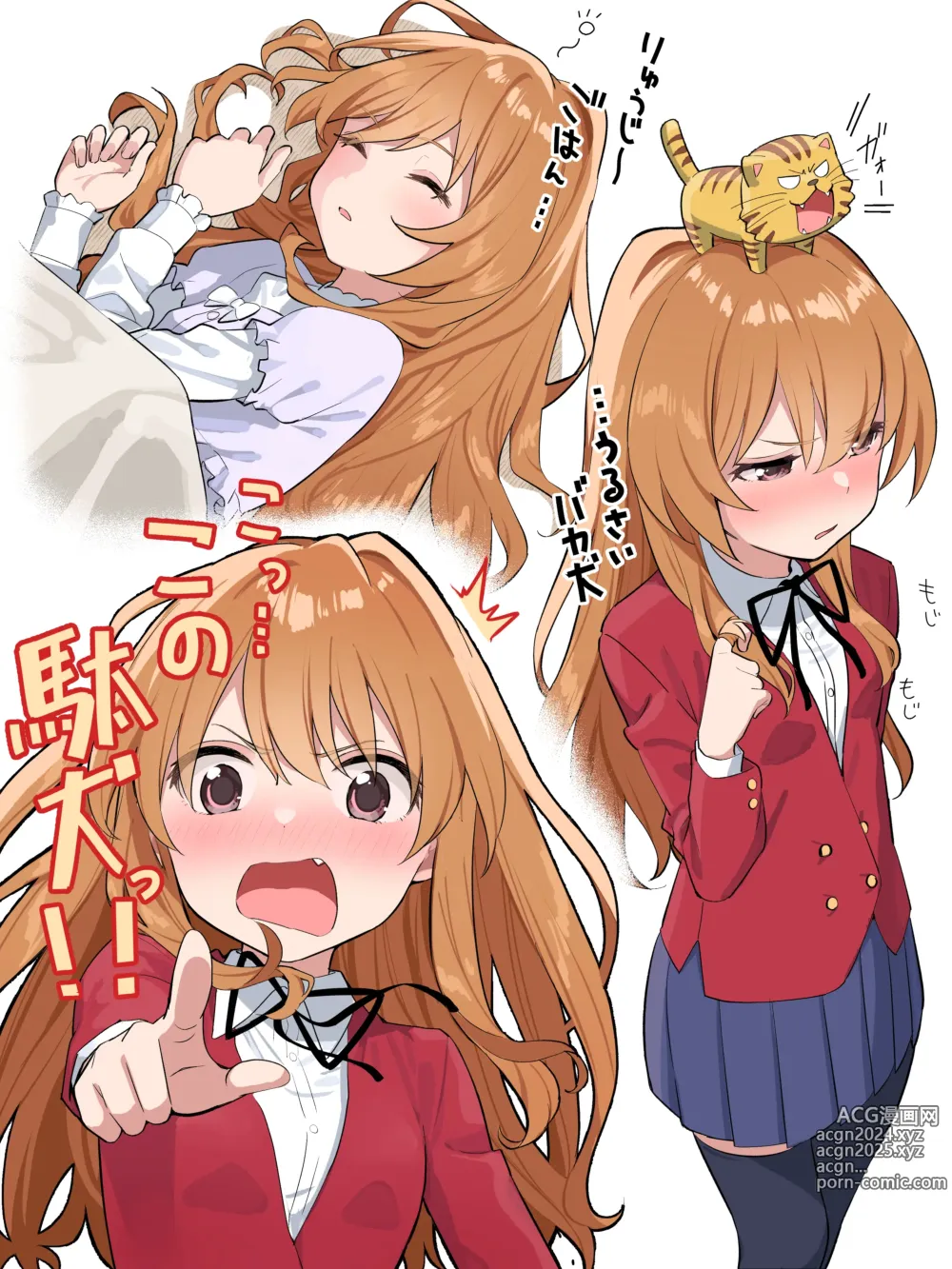 Page 248 of imageset Aisaka taiga Image Set