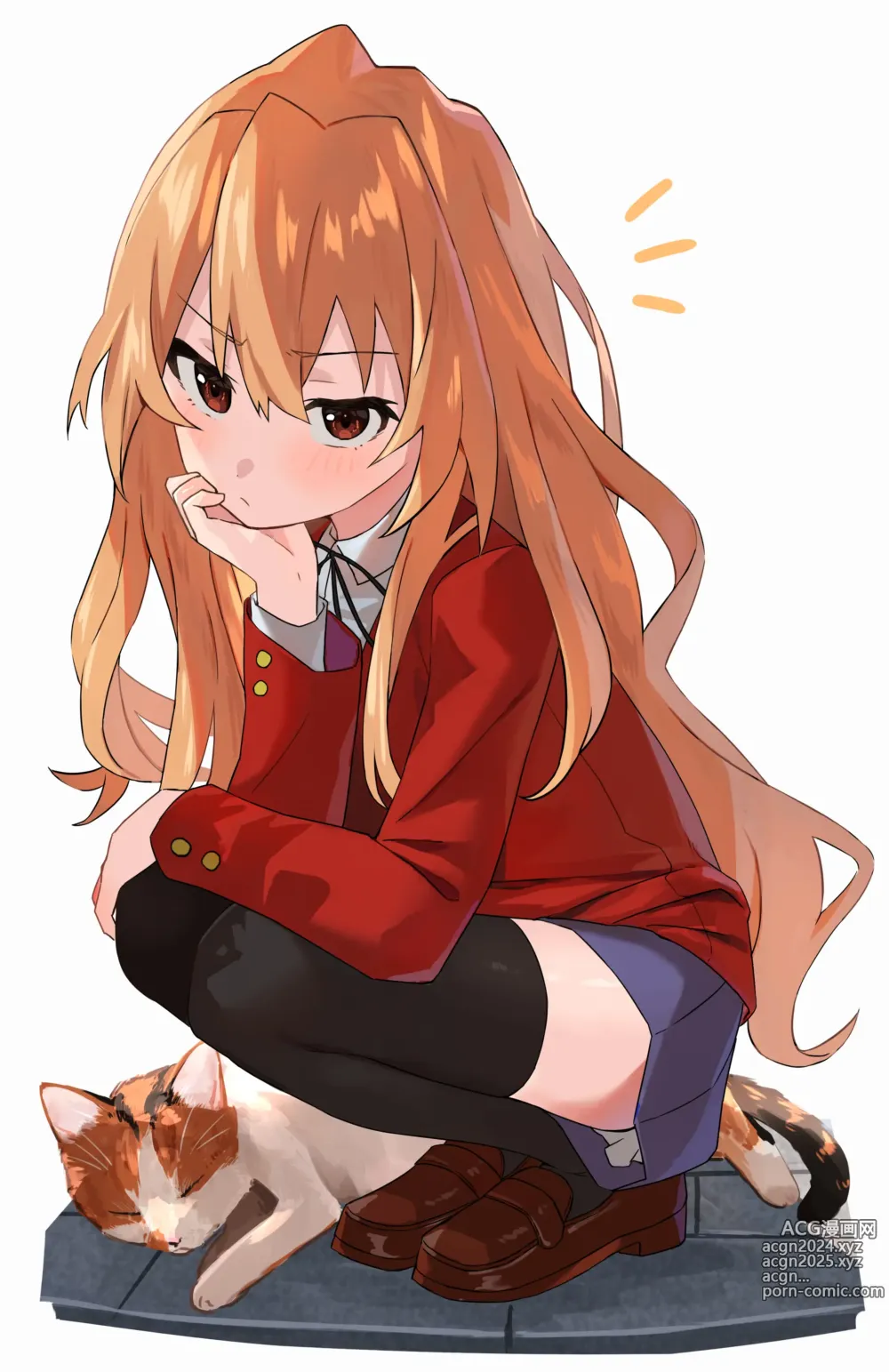 Page 252 of imageset Aisaka taiga Image Set