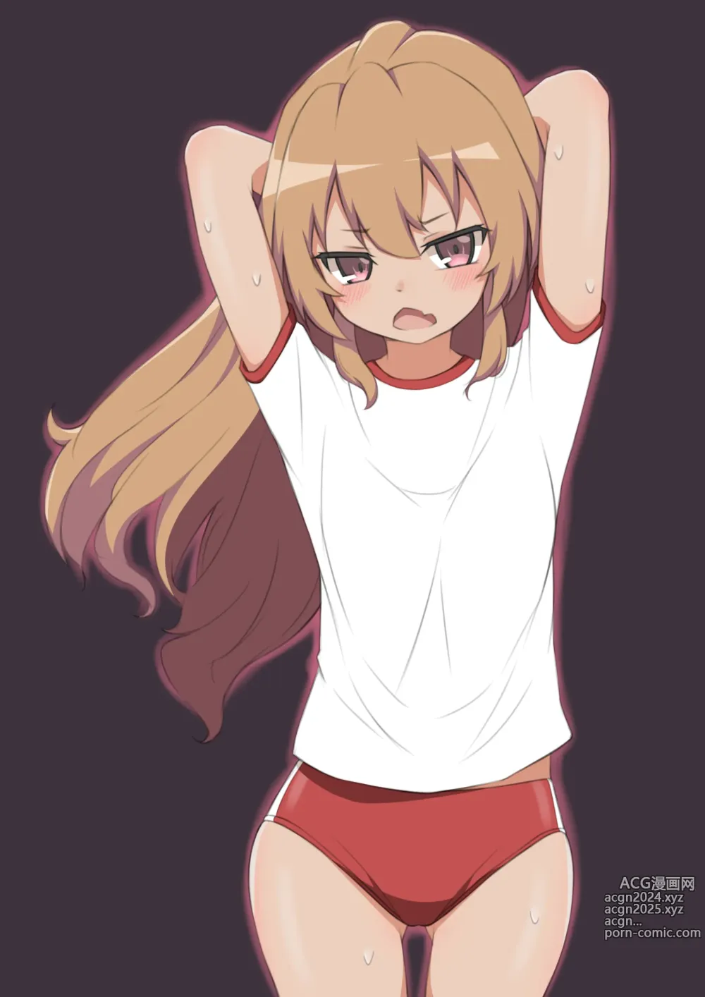 Page 310 of imageset Aisaka taiga Image Set