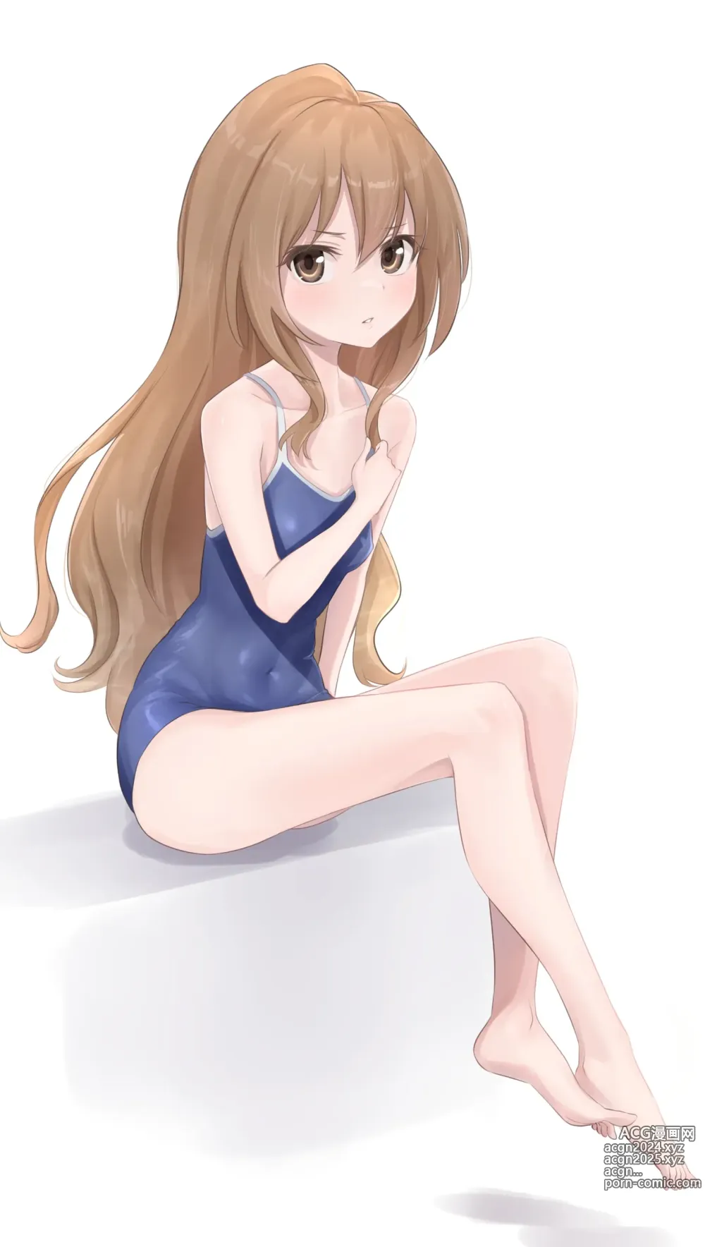 Page 341 of imageset Aisaka taiga Image Set