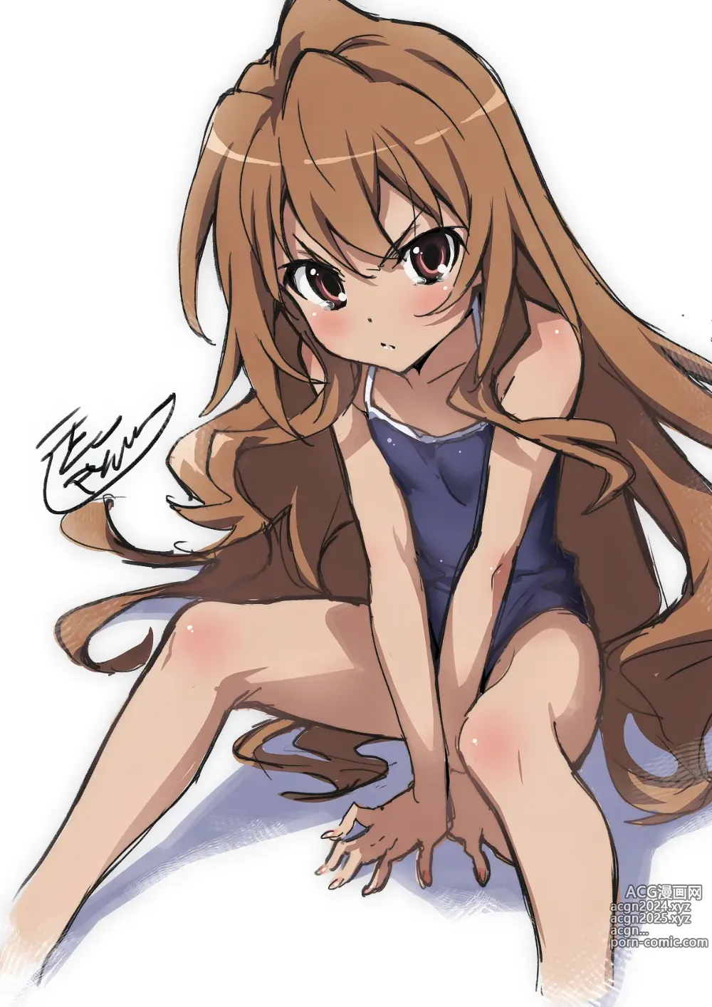 Page 62 of imageset Aisaka taiga Image Set