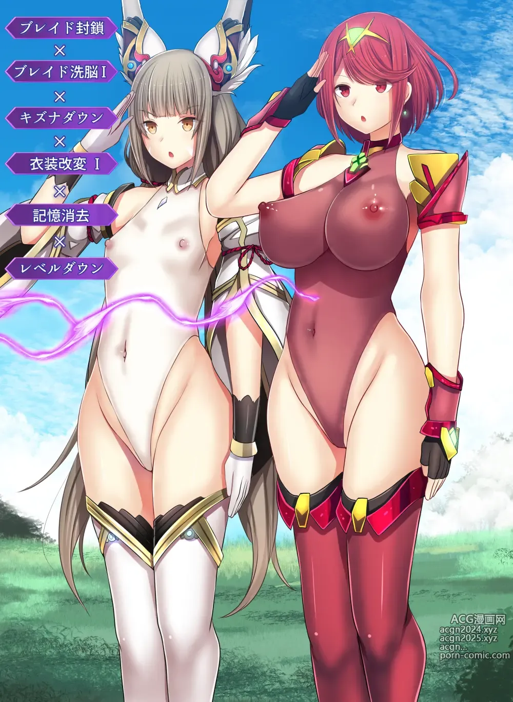 Page 171 of imageset Xenoblade Series Collection