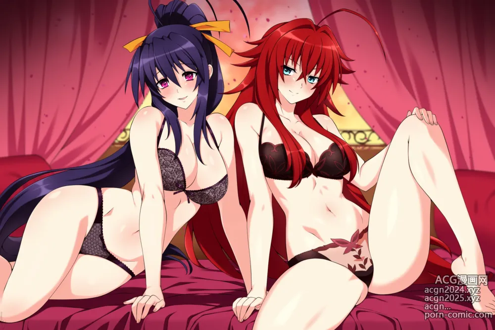 Page 113 of imageset High School DxD nudes