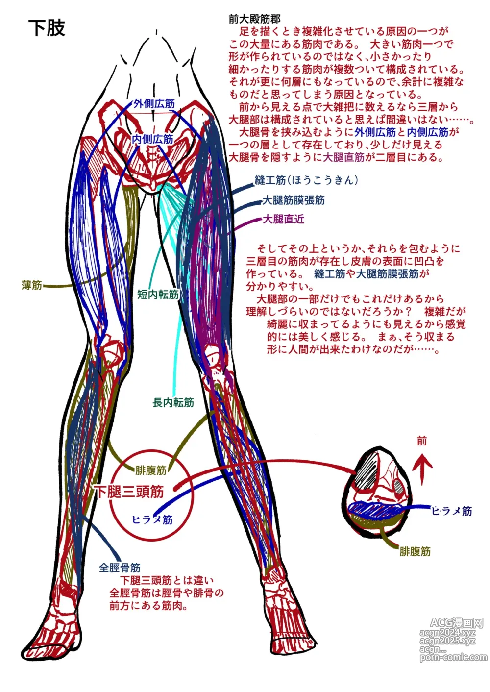 Page 1591 of imageset ●PIXIV● 葵束