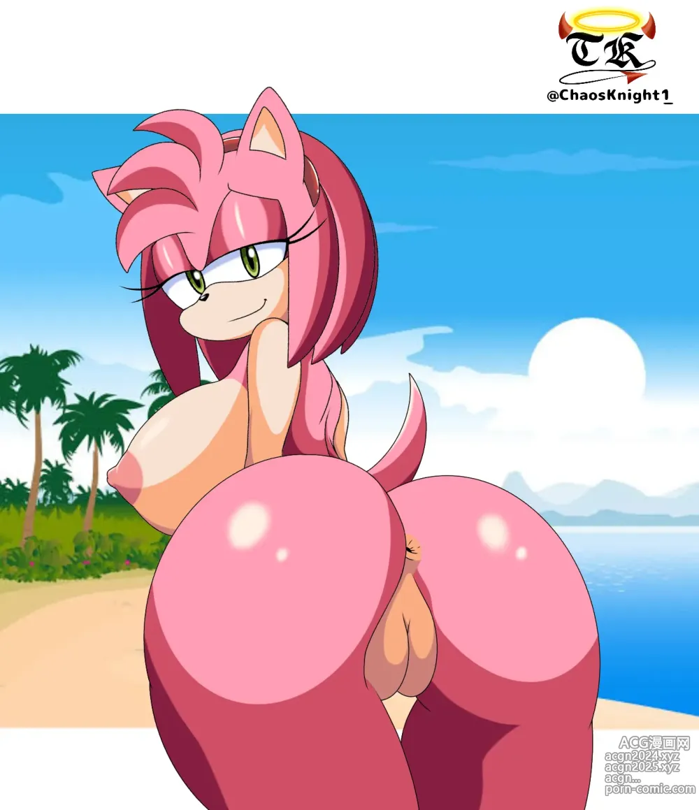 Page 107 of imageset Amy Rose 3