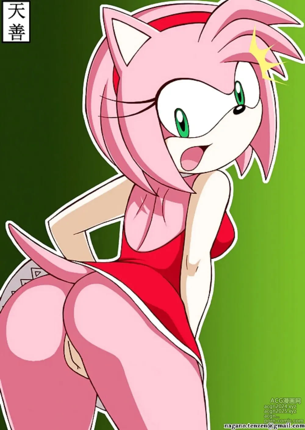 Page 117 of imageset Amy Rose 3