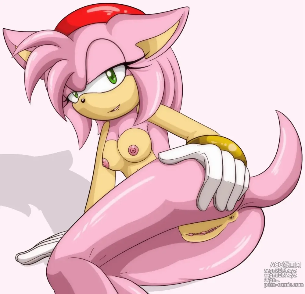 Page 212 of imageset Amy Rose 3