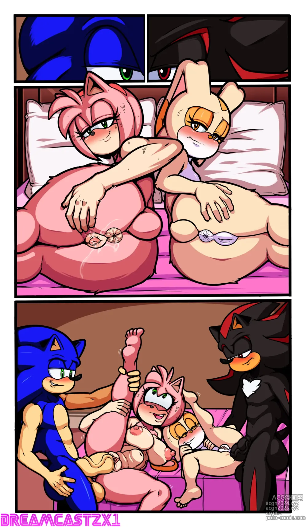 Page 220 of imageset Amy Rose 3