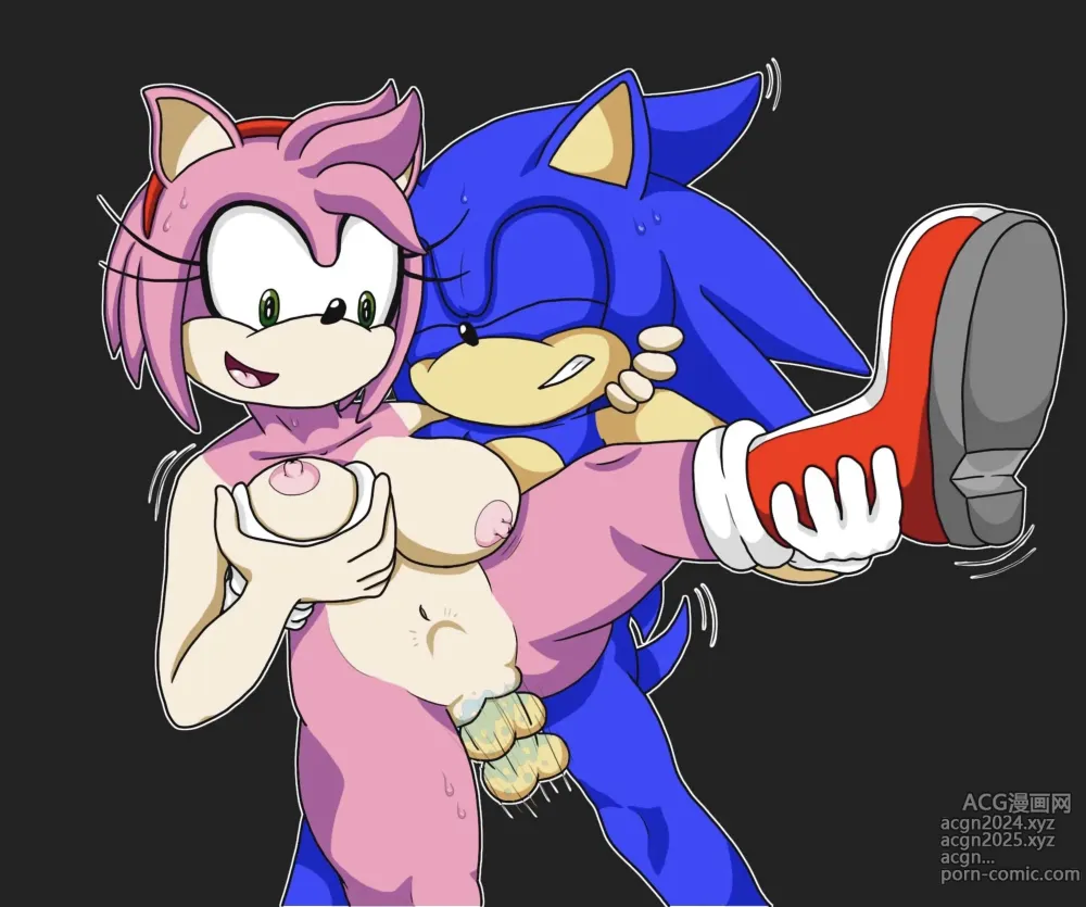 Page 283 of imageset Amy Rose 3