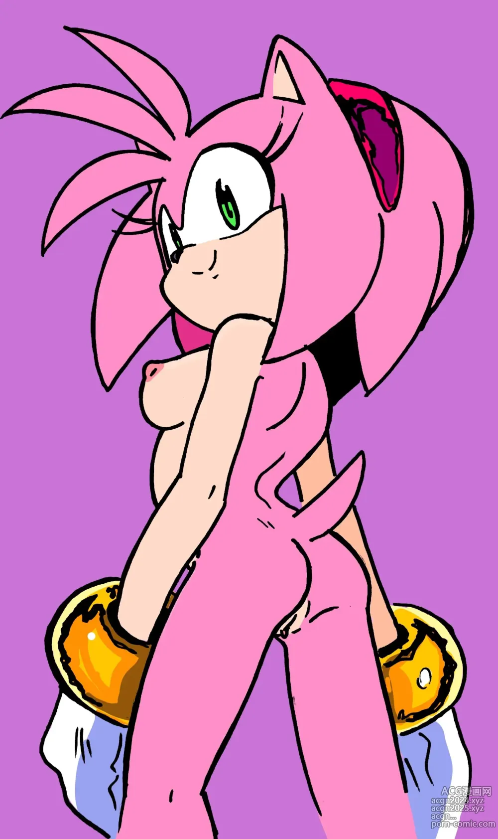 Page 291 of imageset Amy Rose 3