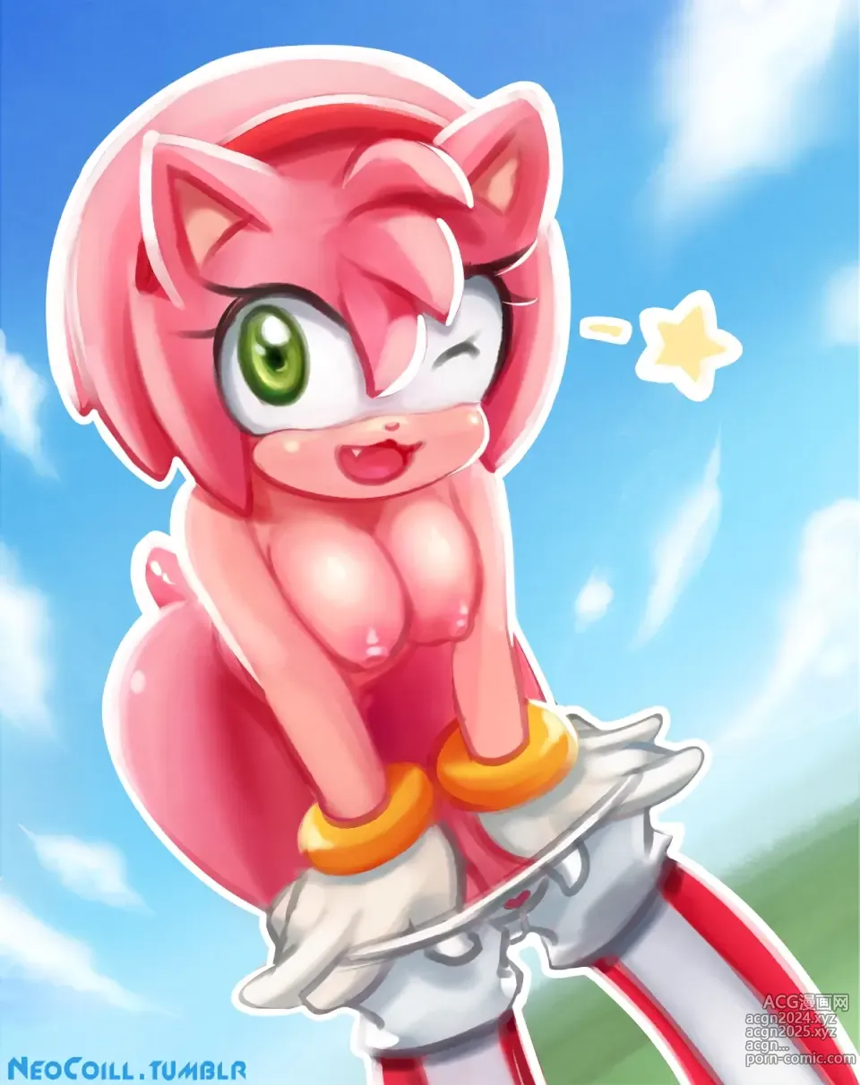 Page 334 of imageset Amy Rose 3