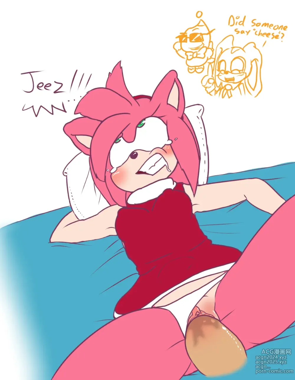 Page 336 of imageset Amy Rose 3