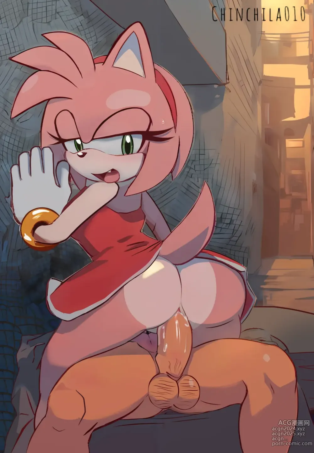 Page 364 of imageset Amy Rose 3