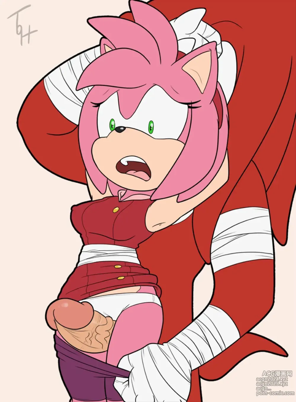 Page 408 of imageset Amy Rose 3