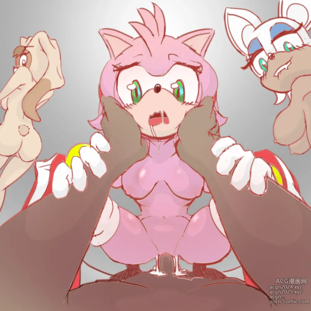 Page 464 of imageset Amy Rose 3