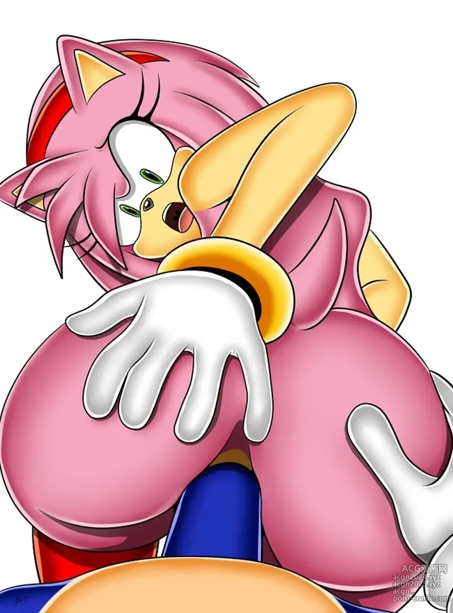 Page 77 of imageset Amy Rose 3