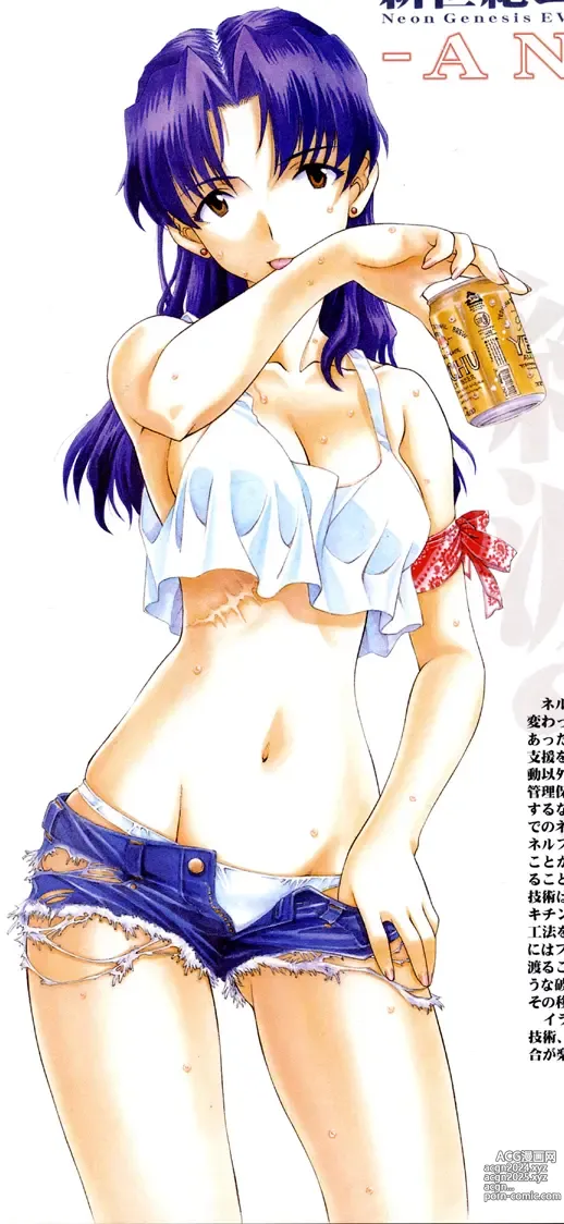 Page 12 of imageset Misato Katsuragi - Collection