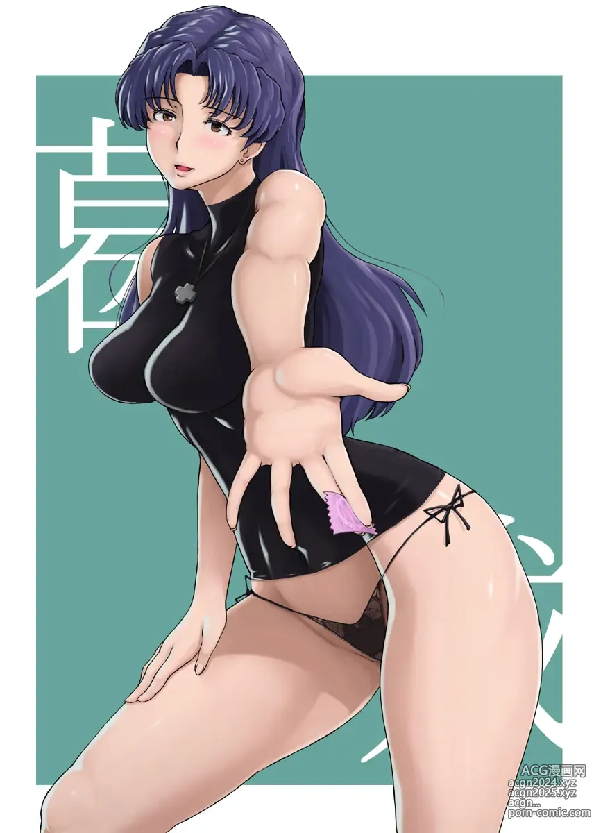 Page 85 of imageset Misato Katsuragi - Collection