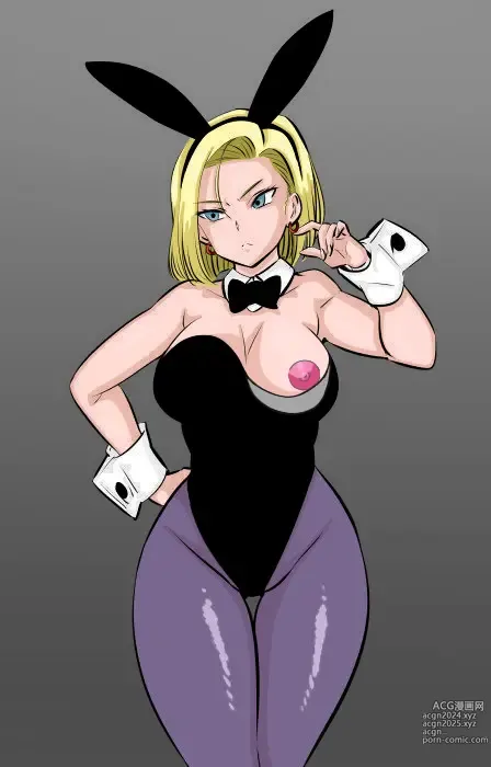 Page 219 of imageset Android 18 and Friends - Collection