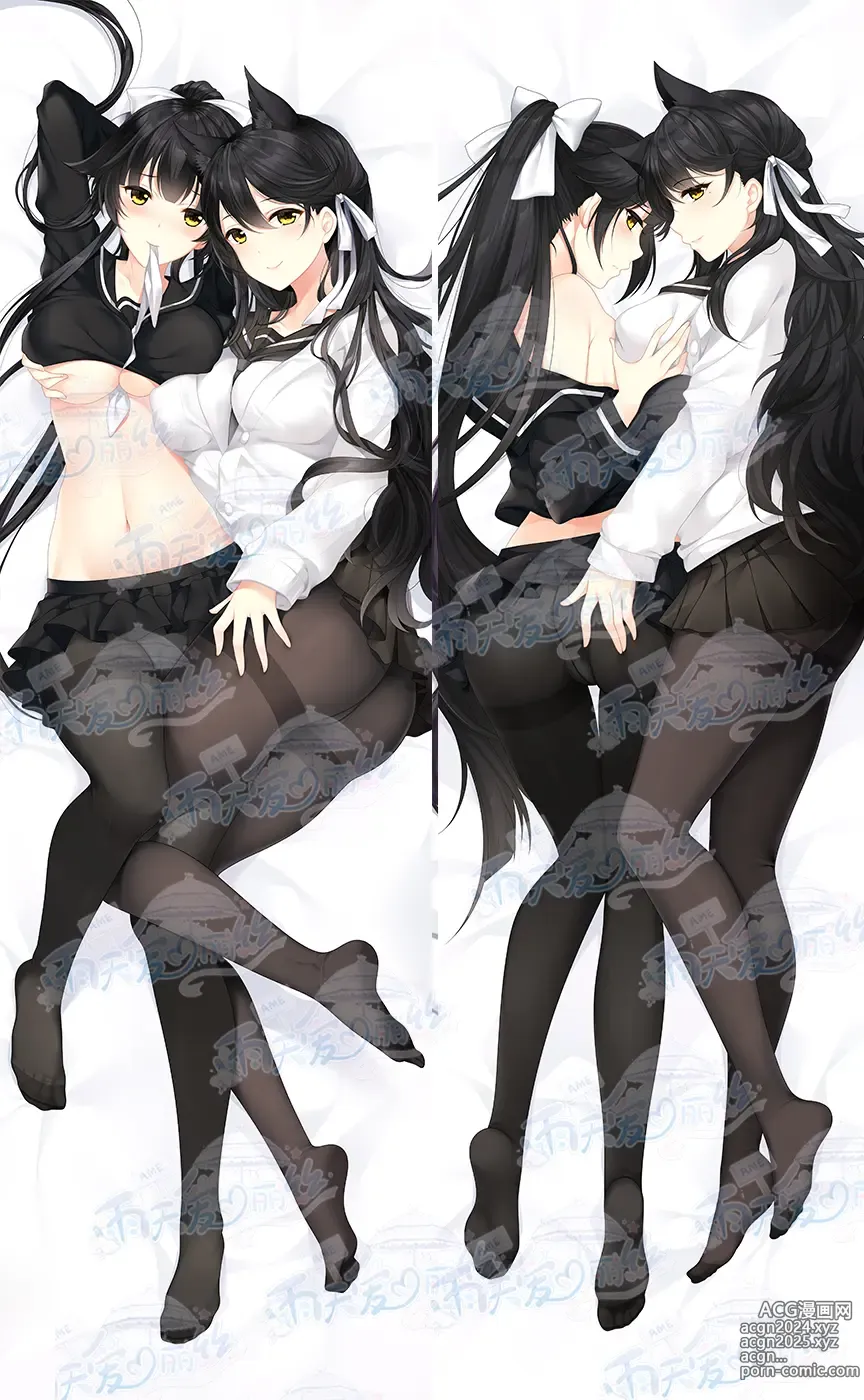 Page 49 of imageset Yutiam Alice Dakimakura Gallery