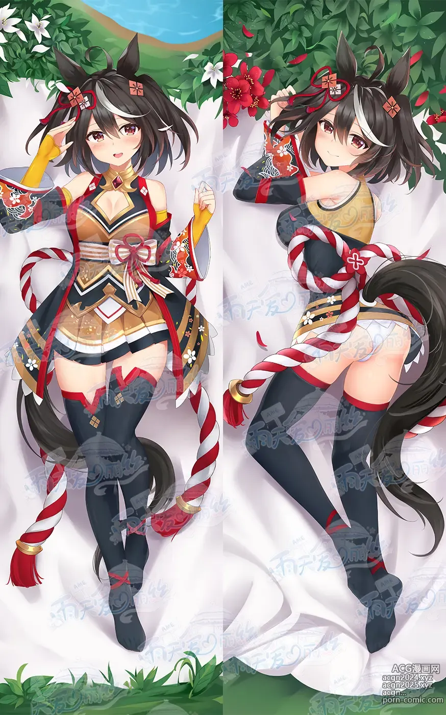 Page 540 of imageset Yutiam Alice Dakimakura Gallery