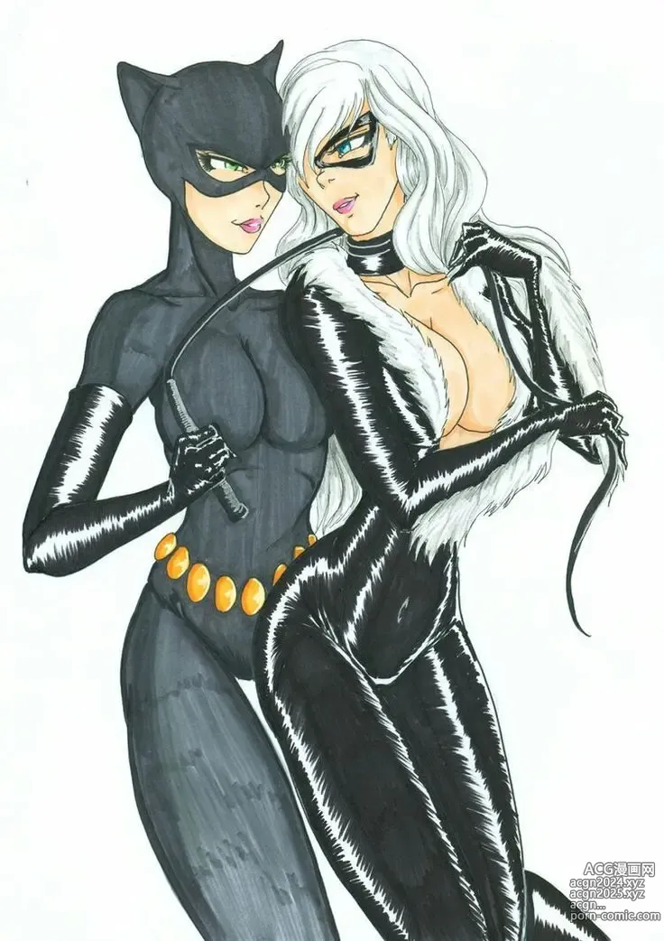 Page 22 of imageset Black cat x Catwoman