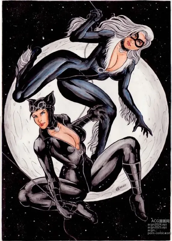 Page 25 of imageset Black cat x Catwoman