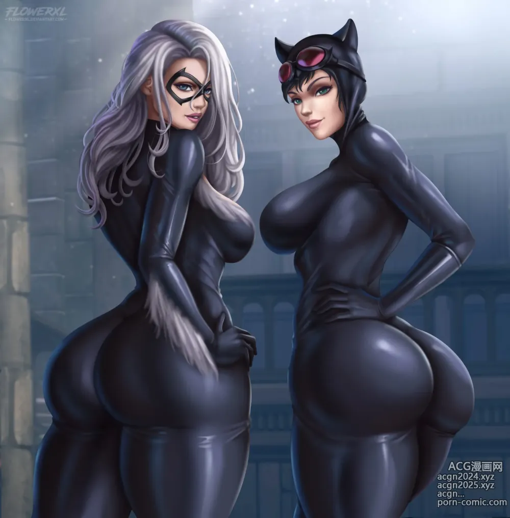 Page 33 of imageset Black cat x Catwoman