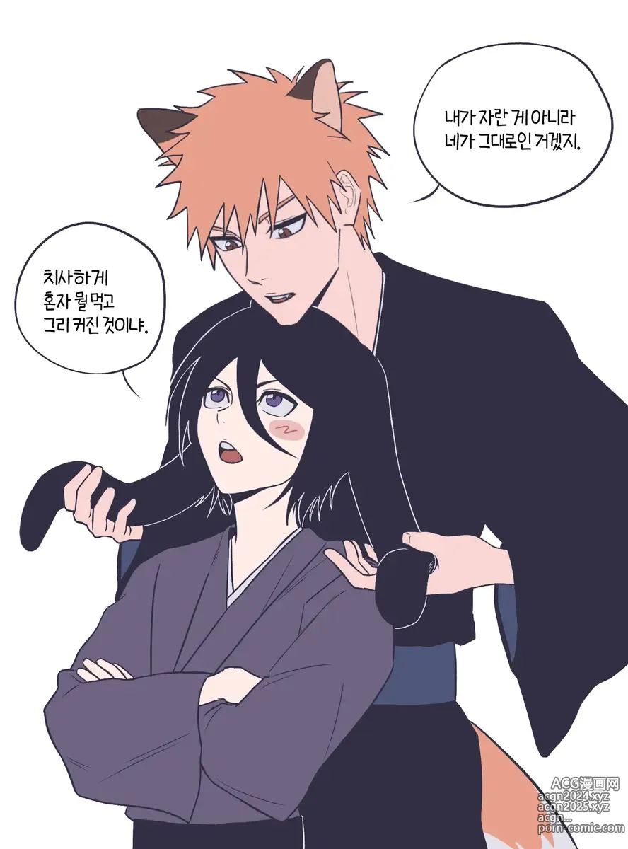 Page 12 of imageset Ichiruki Log 2[Bleach)