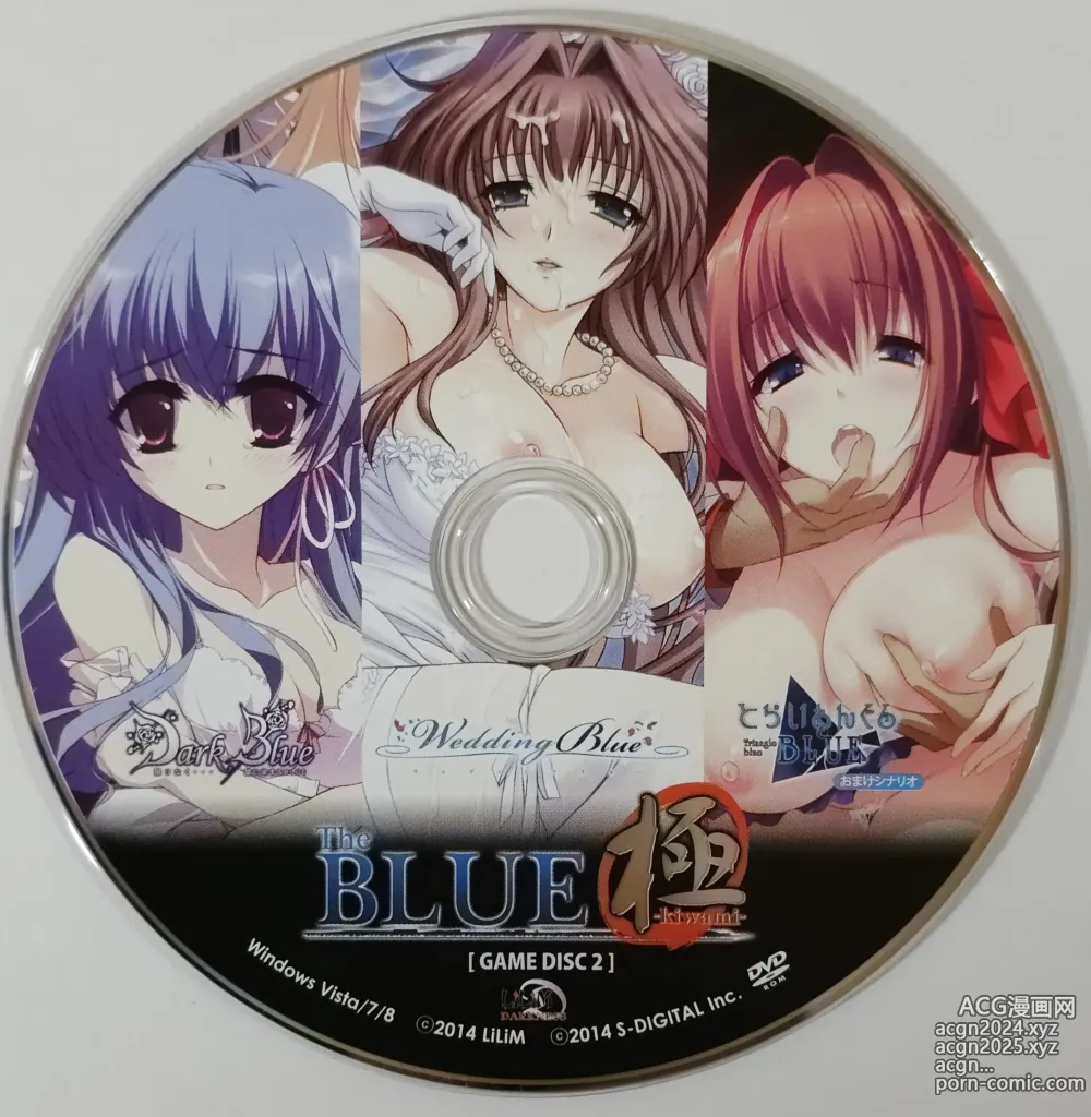 Page 4 of imageset The BLUE 極 Boxart and Manual