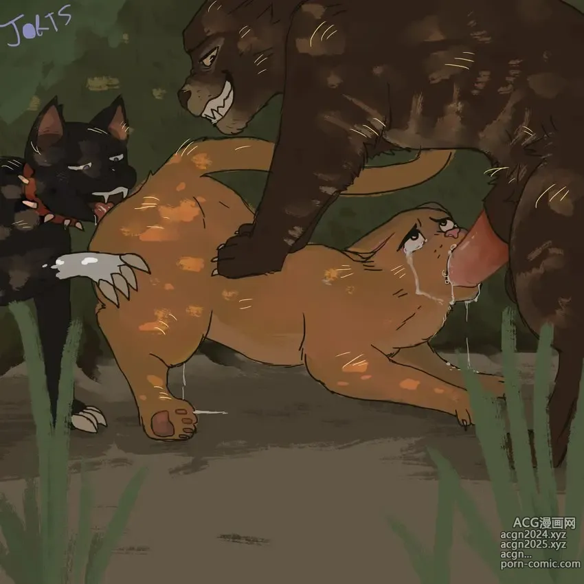 Page 6 of imageset Warriorcats sex lifes