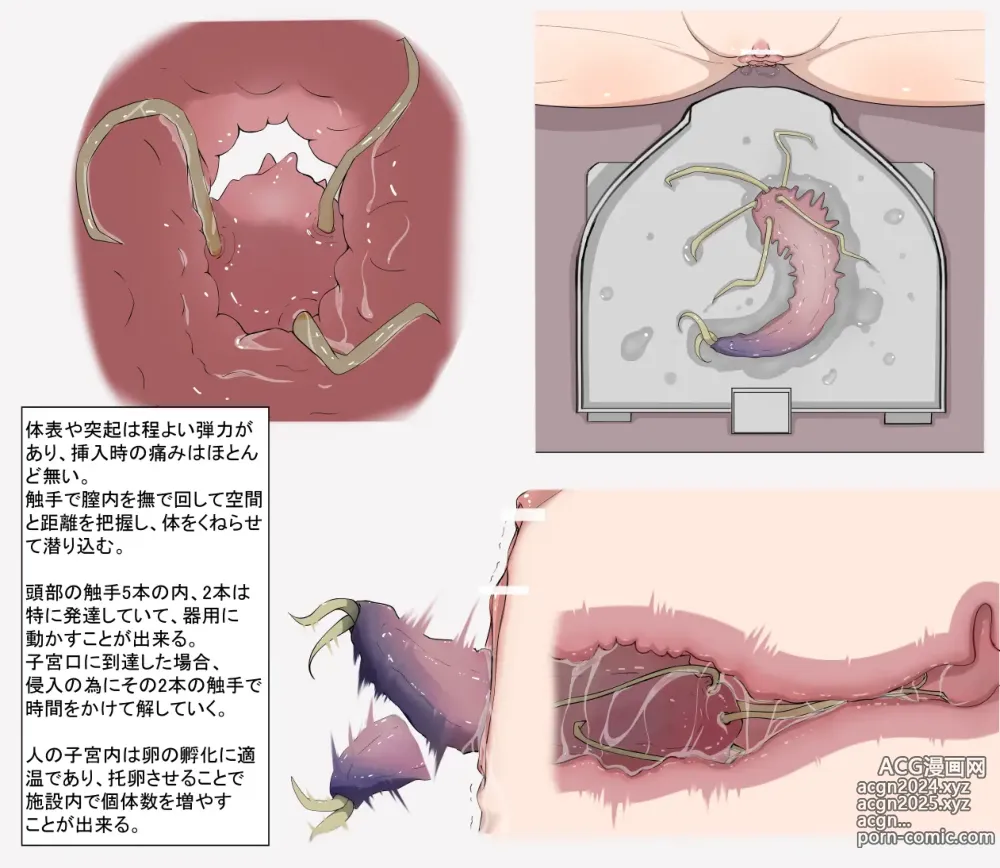 Page 175 of imageset Animal/Bug/Tentacle Unbirth