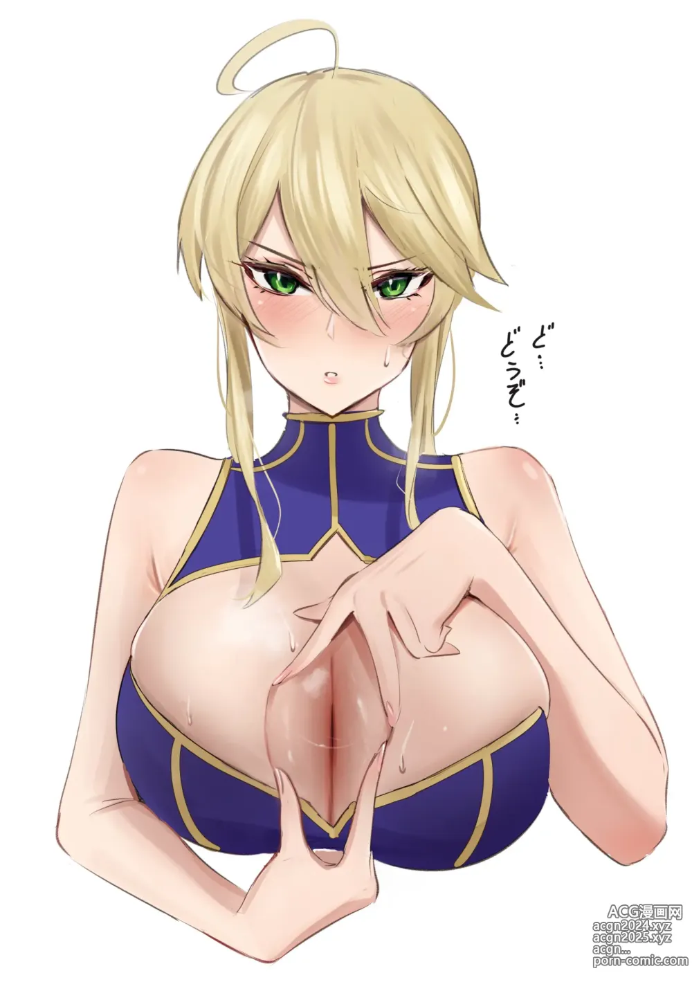 Page 132 of imageset Fate/GO Lancer Artoria