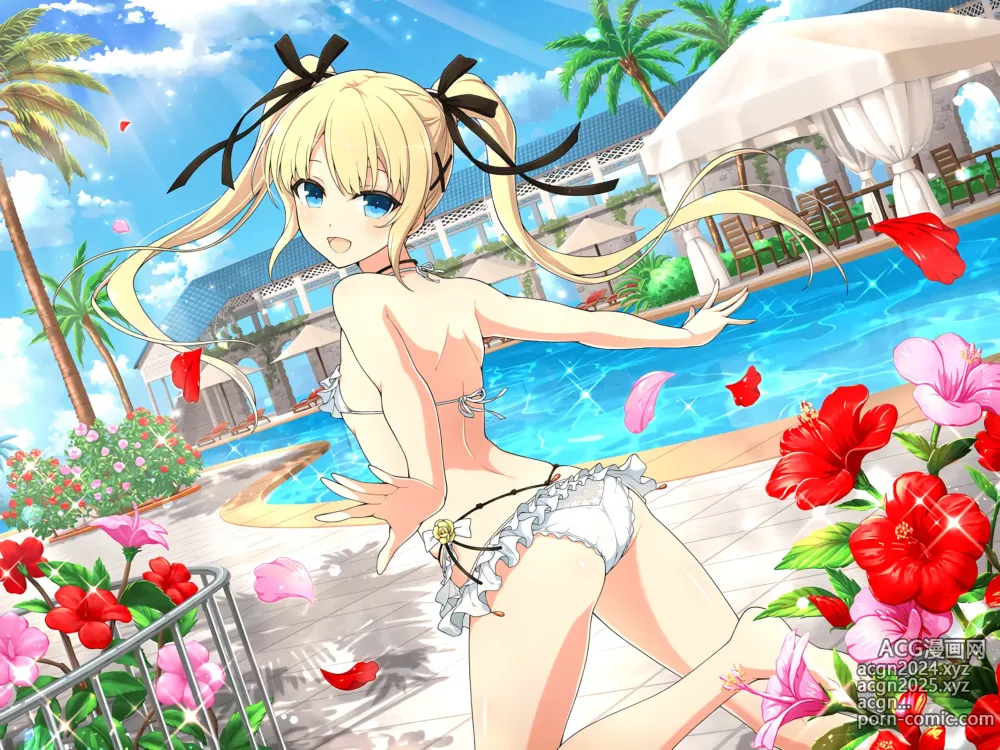 Page 1295 of imageset Shinobi Master Senran Kagura New Link Chara Artwork HD